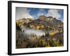 USA, Colorado, Ouray, Fall Color on Mountainside-Ann Collins-Framed Photographic Print