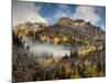 USA, Colorado, Ouray, Fall Color on Mountainside-Ann Collins-Mounted Photographic Print