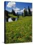 USA, Colorado, Paradise Divide. View of Whetstone Mountain from in Colorado-Jaynes Gallery-Stretched Canvas