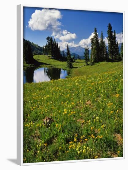 USA, Colorado, Paradise Divide. View of Whetstone Mountain from in Colorado-Jaynes Gallery-Framed Photographic Print