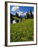 USA, Colorado, Paradise Divide. View of Whetstone Mountain from in Colorado-Jaynes Gallery-Framed Photographic Print