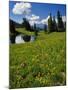 USA, Colorado, Paradise Divide. View of Whetstone Mountain from in Colorado-Jaynes Gallery-Mounted Photographic Print