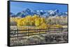 USA, Colorado, Ridgway. Fall colors aglow with snowcovered mountains-Hollice Looney-Framed Stretched Canvas