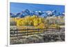USA, Colorado, Ridgway. Fall colors aglow with snowcovered mountains-Hollice Looney-Framed Photographic Print