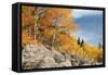USA, Colorado, Rocky Mountain National Park. Autumn Scenic-Jaynes Gallery-Framed Stretched Canvas