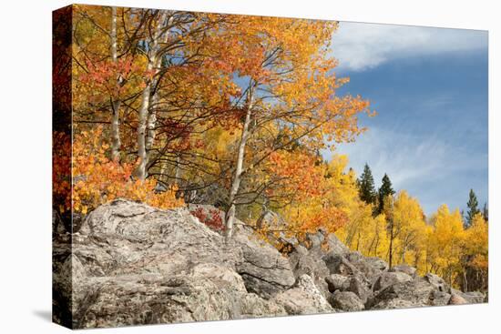 USA, Colorado, Rocky Mountain National Park. Autumn Scenic-Jaynes Gallery-Stretched Canvas