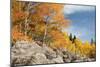 USA, Colorado, Rocky Mountain National Park. Autumn Scenic-Jaynes Gallery-Mounted Photographic Print