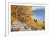 USA, Colorado, Rocky Mountain National Park. Autumn Scenic-Jaynes Gallery-Framed Photographic Print