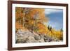 USA, Colorado, Rocky Mountain National Park. Autumn Scenic-Jaynes Gallery-Framed Photographic Print