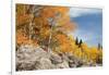 USA, Colorado, Rocky Mountain National Park. Autumn Scenic-Jaynes Gallery-Framed Photographic Print