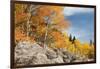 USA, Colorado, Rocky Mountain National Park. Autumn Scenic-Jaynes Gallery-Framed Photographic Print