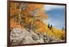 USA, Colorado, Rocky Mountain National Park. Autumn Scenic-Jaynes Gallery-Framed Photographic Print