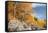 USA, Colorado, Rocky Mountain National Park. Autumn Scenic-Jaynes Gallery-Framed Stretched Canvas