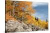 USA, Colorado, Rocky Mountain National Park. Autumn Scenic-Jaynes Gallery-Stretched Canvas