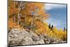 USA, Colorado, Rocky Mountain National Park. Autumn Scenic-Jaynes Gallery-Mounted Photographic Print