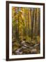 USA, Colorado, Rocky Mountain National Park. Waterfall in forest scenic.-Jaynes Gallery-Framed Photographic Print