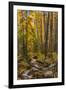 USA, Colorado, Rocky Mountain National Park. Waterfall in forest scenic.-Jaynes Gallery-Framed Photographic Print