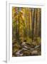 USA, Colorado, Rocky Mountain National Park. Waterfall in forest scenic.-Jaynes Gallery-Framed Premium Photographic Print