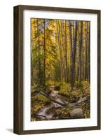 USA, Colorado, Rocky Mountain National Park. Waterfall in forest scenic.-Jaynes Gallery-Framed Photographic Print