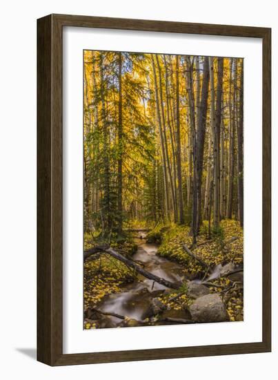 USA, Colorado, Rocky Mountain National Park. Waterfall in forest scenic.-Jaynes Gallery-Framed Photographic Print