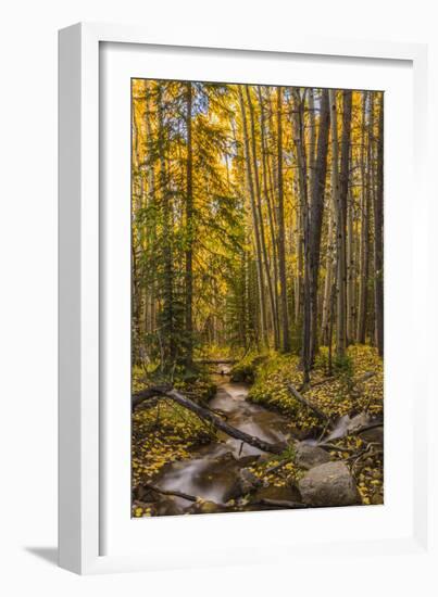 USA, Colorado, Rocky Mountain National Park. Waterfall in forest scenic.-Jaynes Gallery-Framed Photographic Print