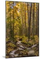 USA, Colorado, Rocky Mountain National Park. Waterfall in forest scenic.-Jaynes Gallery-Mounted Photographic Print