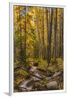 USA, Colorado, Rocky Mountain National Park. Waterfall in forest scenic.-Jaynes Gallery-Framed Premium Photographic Print