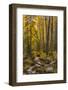 USA, Colorado, Rocky Mountain National Park. Waterfall in forest scenic.-Jaynes Gallery-Framed Photographic Print