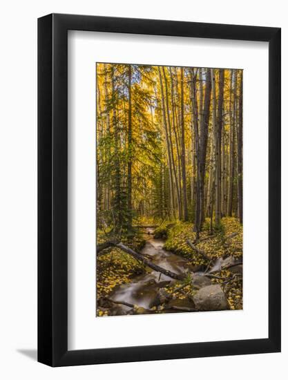 USA, Colorado, Rocky Mountain National Park. Waterfall in forest scenic.-Jaynes Gallery-Framed Photographic Print