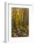 USA, Colorado, Rocky Mountain National Park. Waterfall in forest scenic.-Jaynes Gallery-Framed Photographic Print