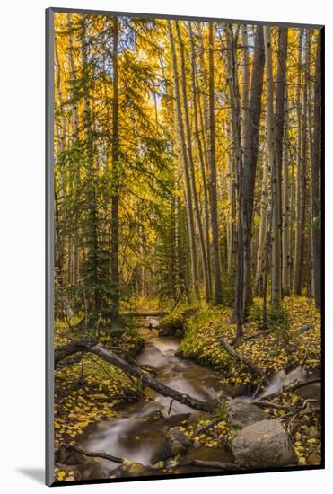 USA, Colorado, Rocky Mountain National Park. Waterfall in forest scenic.-Jaynes Gallery-Mounted Photographic Print