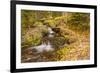 USA, Colorado, Rocky Mountain National Park. Waterfall in forest scenic.-Jaynes Gallery-Framed Photographic Print