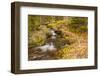 USA, Colorado, Rocky Mountain National Park. Waterfall in forest scenic.-Jaynes Gallery-Framed Photographic Print