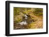 USA, Colorado, Rocky Mountain National Park. Waterfall in forest scenic.-Jaynes Gallery-Framed Photographic Print