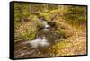 USA, Colorado, Rocky Mountain National Park. Waterfall in forest scenic.-Jaynes Gallery-Framed Stretched Canvas