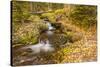 USA, Colorado, Rocky Mountain National Park. Waterfall in forest scenic.-Jaynes Gallery-Stretched Canvas