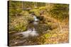 USA, Colorado, Rocky Mountain National Park. Waterfall in forest scenic.-Jaynes Gallery-Stretched Canvas