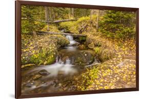USA, Colorado, Rocky Mountain National Park. Waterfall in forest scenic.-Jaynes Gallery-Framed Photographic Print