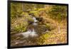 USA, Colorado, Rocky Mountain National Park. Waterfall in forest scenic.-Jaynes Gallery-Framed Photographic Print