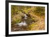 USA, Colorado, Rocky Mountain National Park. Waterfall in forest scenic.-Jaynes Gallery-Framed Photographic Print