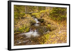 USA, Colorado, Rocky Mountain National Park. Waterfall in forest scenic.-Jaynes Gallery-Framed Photographic Print