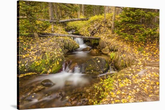 USA, Colorado, Rocky Mountain National Park. Waterfall in forest scenic.-Jaynes Gallery-Stretched Canvas