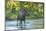 USA, Colorado, Rocky Mountain NP. Male Moose Crossing Colorado River-Cathy & Gordon Illg-Mounted Photographic Print