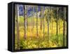 USA, Colorado, Rocky Mountains, Aspen Trees in Autumn in the Rockies-Jaynes Gallery-Framed Stretched Canvas