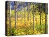 USA, Colorado, Rocky Mountains, Aspen Trees in Autumn in the Rockies-Jaynes Gallery-Stretched Canvas