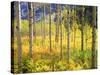 USA, Colorado, Rocky Mountains, Aspen Trees in Autumn in the Rockies-Jaynes Gallery-Stretched Canvas