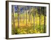 USA, Colorado, Rocky Mountains, Aspen Trees in Autumn in the Rockies-Jaynes Gallery-Framed Photographic Print