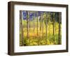 USA, Colorado, Rocky Mountains, Aspen Trees in Autumn in the Rockies-Jaynes Gallery-Framed Photographic Print