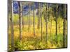 USA, Colorado, Rocky Mountains, Aspen Trees in Autumn in the Rockies-Jaynes Gallery-Mounted Photographic Print