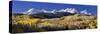 USA, Colorado, Rocky Mountains, Aspens, Autumn-null-Stretched Canvas